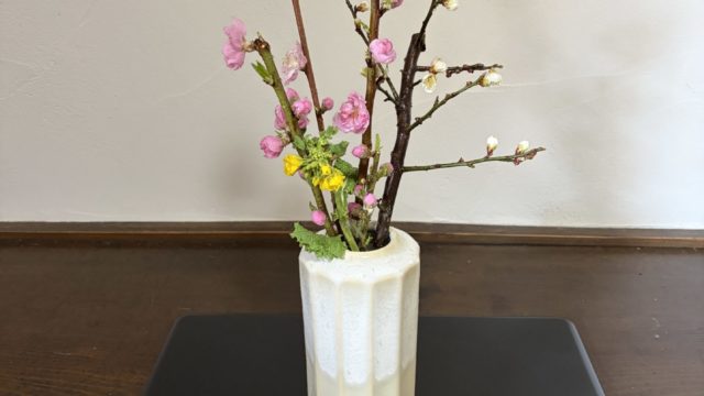 2月も素敵なお客様方がおいでになりました